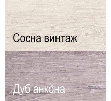Компьютерный стол Монако 1D1S